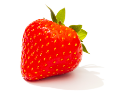 Fruit fraise
